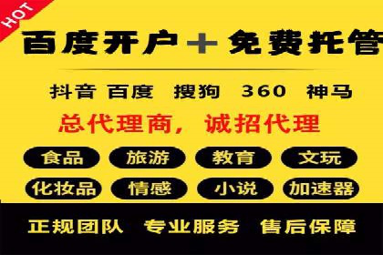 竞价推广代运营：成功案例解析